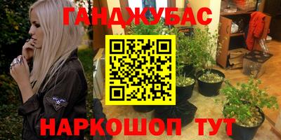 шишки Татарск